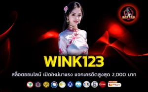 wink123